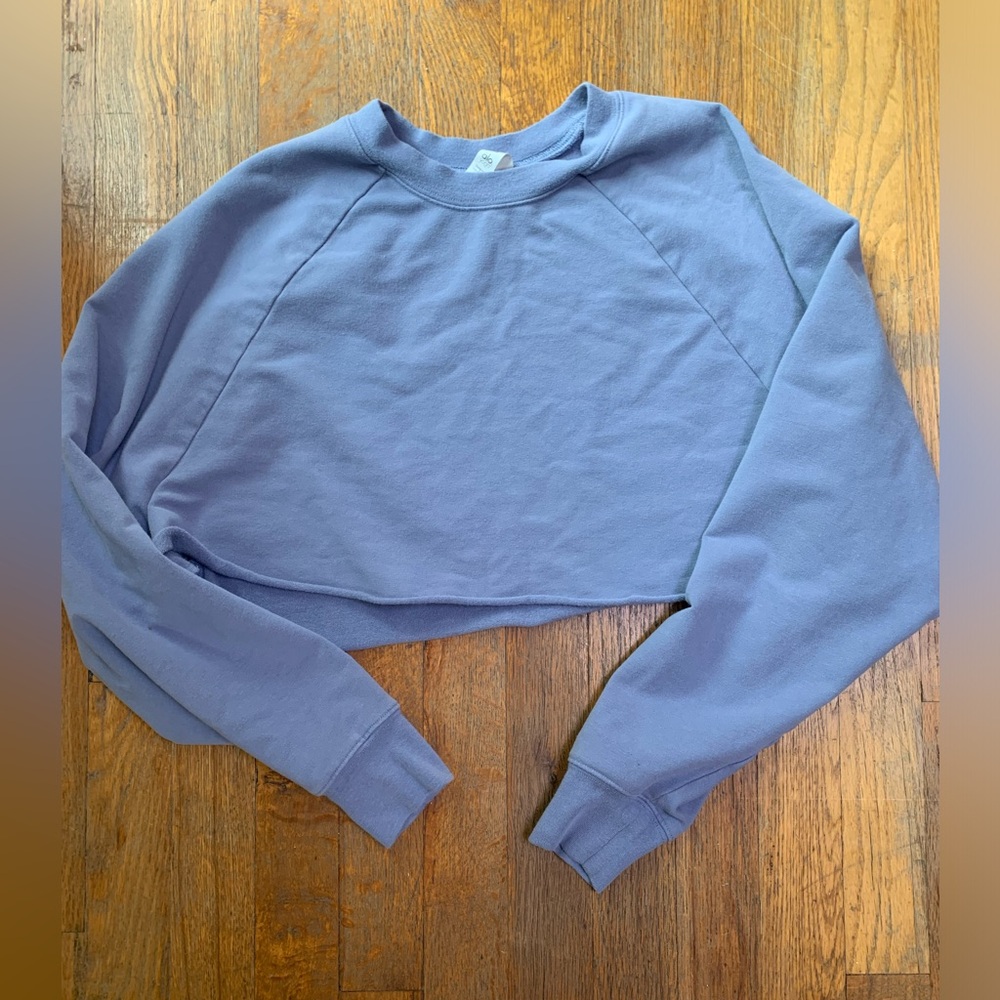Alo Cropped Sweatshirt